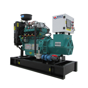 Wholesale generator from China 20kw methane gas engine generator